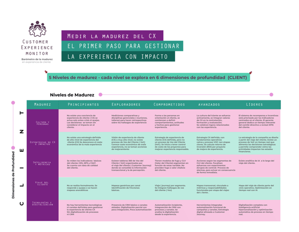 Niveles de madurez